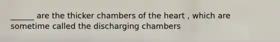 ______ are the thicker chambers of the heart , which are sometime called the discharging chambers