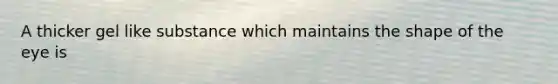 A thicker gel like substance which maintains the shape of the eye is