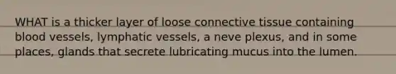 WHAT is a thicker layer of loose connective tissue containing blood vessels, lymphatic vessels, a neve plexus, and in some places, glands that secrete lubricating mucus into the lumen.