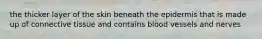 the thicker layer of the skin beneath the epidermis that is made up of connective tissue and contains blood vessels and nerves