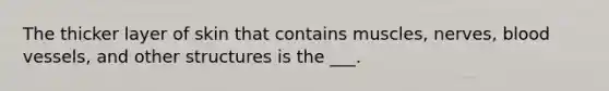 The thicker layer of skin that contains muscles, nerves, blood vessels, and other structures is the ___.