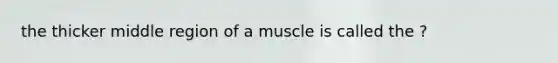 the thicker middle region of a muscle is called the ?