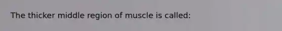 The thicker middle region of muscle is called: