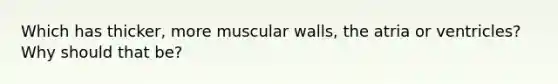 Which has thicker, more muscular walls, the atria or ventricles? Why should that be?