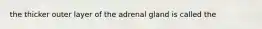 the thicker outer layer of the adrenal gland is called the