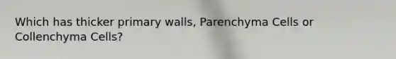 Which has thicker primary walls, Parenchyma Cells or Collenchyma Cells?