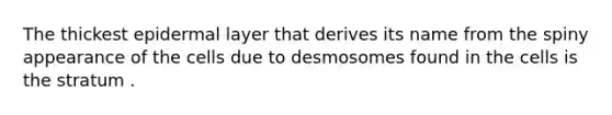 The thickest epidermal layer that derives its name from the spiny appearance of the cells due to desmosomes found in the cells is the stratum .
