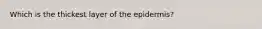 Which is the thickest layer of the epidermis?