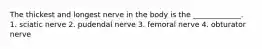 The thickest and longest nerve in the body is the _____________. 1. sciatic nerve 2. pudendal nerve 3. femoral nerve 4. obturator nerve