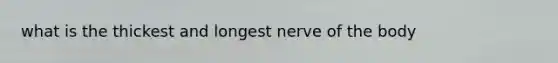 what is the thickest and longest nerve of the body