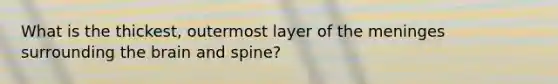 What is the thickest, outermost layer of the meninges surrounding the brain and spine?