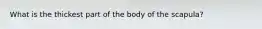 What is the thickest part of the body of the scapula?