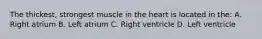 The thickest, strongest muscle in the heart is located in the: A. Right atrium B. Left atrium C. Right ventricle D. Left ventricle