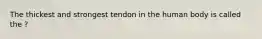 The thickest and strongest tendon in the human body is called the ?