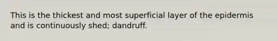 This is the thickest and most superficial layer of <a href='https://www.questionai.com/knowledge/kBFgQMpq6s-the-epidermis' class='anchor-knowledge'>the epidermis</a> and is continuously shed; dandruff.