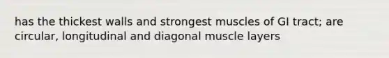 has the thickest walls and strongest muscles of GI tract; are circular, longitudinal and diagonal muscle layers