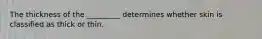 The thickness of the _________ determines whether skin is classified as thick or thin.