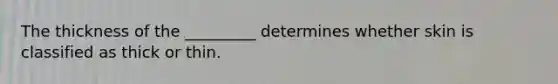 The thickness of the _________ determines whether skin is classified as thick or thin.