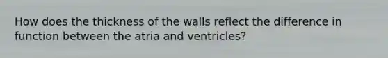 How does the thickness of the walls reflect the difference in function between the atria and ventricles?