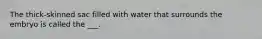 The thick-skinned sac filled with water that surrounds the embryo is called the ___.