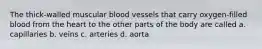 The thick-walled muscular blood vessels that carry oxygen-filled blood from the heart to the other parts of the body are called a. capillaries b. veins c. arteries d. aorta