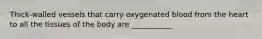 Thick-walled vessels that carry oxygenated blood from the heart to all the tissues of the body are ___________