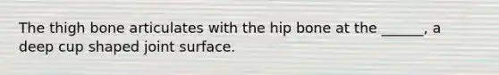 The thigh bone articulates with the hip bone at the ______, a deep cup shaped joint surface.