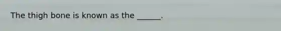 The thigh bone is known as the ______.