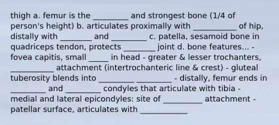 thigh a. femur is the _________ and strongest bone (1/4 of person's height) b. articulates proximally with ___________ of hip, distally with ________ and _________ c. patella, sesamoid bone in quadriceps tendon, protects ________ joint d. bone features... - fovea capitis, small _____ in head - greater & lesser trochanters, ___________ attachment (intertrochanteric line & crest) - gluteal tuberosity blends into _________ _________ - distally, femur ends in _________ and _________ condyles that articulate with tibia - medial and lateral epicondyles: site of __________ attachment - patellar surface, articulates with ____________