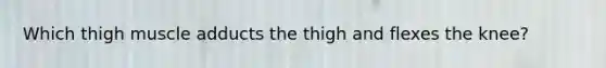 Which thigh muscle adducts the thigh and flexes the knee?