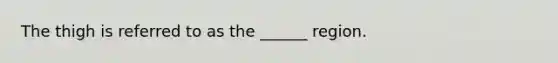 The thigh is referred to as the ______ region.