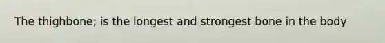 The thighbone; is the longest and strongest bone in the body