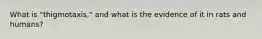What is "thigmotaxis," and what is the evidence of it in rats and humans?