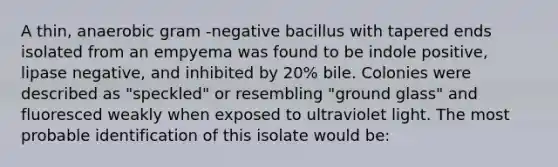 A thin, anaerobic gram -negative bacillus with tapered ends isolated from an empyema was found to be indole positive, lipase negative, and inhibited by 20% bile. Colonies were described as "speckled" or resembling "ground glass" and fluoresced weakly when exposed to ultraviolet light. The most probable identification of this isolate would be: