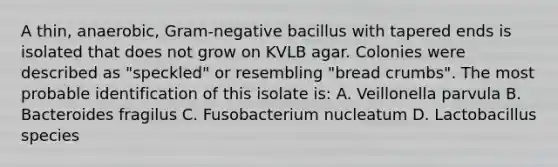 A thin, anaerobic, Gram-negative bacillus with tapered ends is isolated that does not grow on KVLB agar. Colonies were described as "speckled" or resembling "bread crumbs". The most probable identification of this isolate is: A. Veillonella parvula B. Bacteroides fragilus C. Fusobacterium nucleatum D. Lactobacillus species