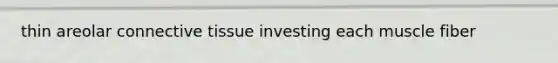 thin areolar connective tissue investing each muscle fiber