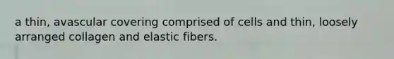 a thin, avascular covering comprised of cells and thin, loosely arranged collagen and elastic fibers.