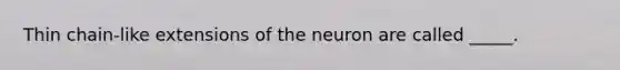 Thin chain-like extensions of the neuron are called _____.