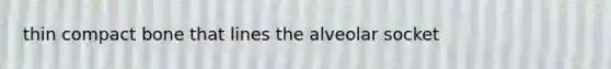 thin compact bone that lines the alveolar socket