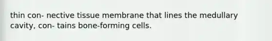 thin con- nective tissue membrane that lines the medullary cavity, con- tains bone-forming cells.