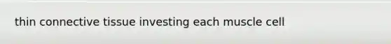 thin connective tissue investing each muscle cell