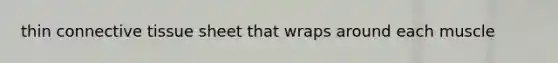 thin <a href='https://www.questionai.com/knowledge/kYDr0DHyc8-connective-tissue' class='anchor-knowledge'>connective tissue</a> sheet that wraps around each muscle