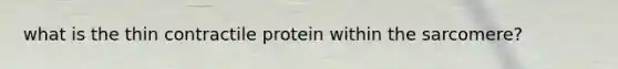 what is the thin contractile protein within the sarcomere?