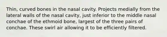 Thin, curved bones in the nasal cavity. Projects medially from the lateral walls of the nasal cavity, just inferior to the middle nasal conchae of the ethmoid bone, largest of the three pairs of conchae. These swirl air allowing it to be efficiently filtered.