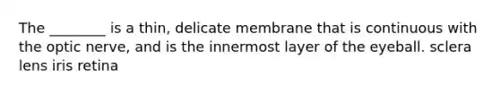 The ________ is a thin, delicate membrane that is continuous with the optic nerve, and is the innermost layer of the eyeball. sclera lens iris retina