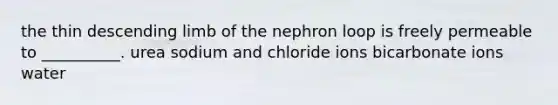 the thin descending limb of the nephron loop is freely permeable to __________. urea sodium and chloride ions bicarbonate ions water