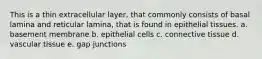 This is a thin extracellular layer, that commonly consists of basal lamina and reticular lamina, that is found in epithelial tissues. a. basement membrane b. epithelial cells c. connective tissue d. vascular tissue e. gap junctions