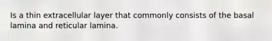 Is a thin extracellular layer that commonly consists of the basal lamina and reticular lamina.