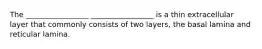 The _________________ _________________ is a thin extracellular layer that commonly consists of two layers, the basal lamina and reticular lamina.