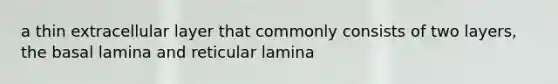 a thin extracellular layer that commonly consists of two layers, the basal lamina and reticular lamina